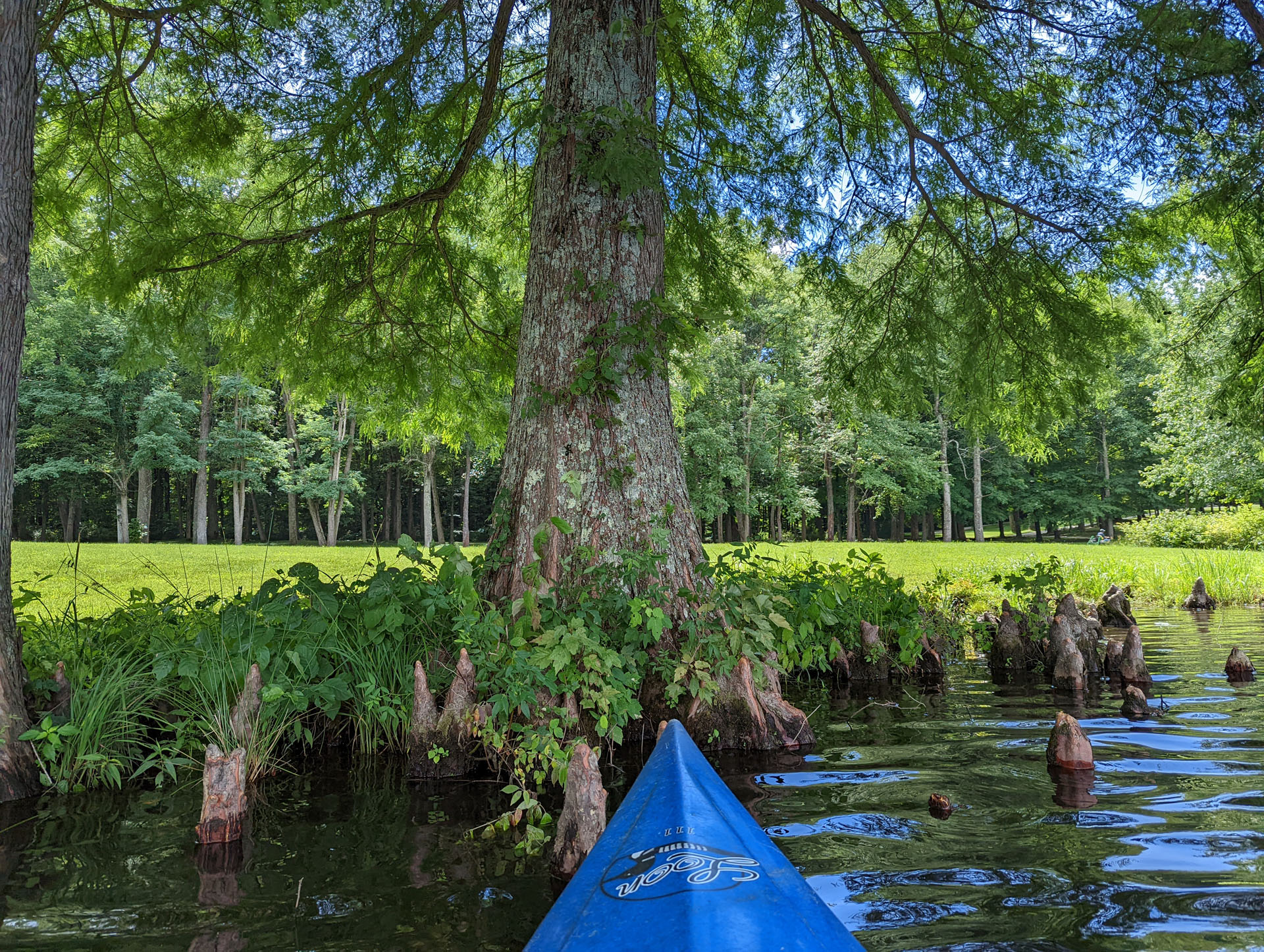 PXL 20220812 182635471